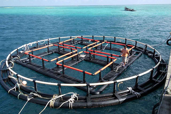 深海奇跡、水下牧場：探索深海養(yǎng)魚網(wǎng)箱在水產(chǎn)養(yǎng)殖中的新可能